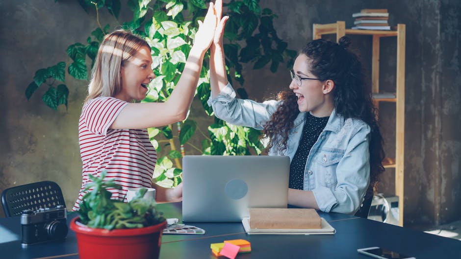 Inspecție de securitate